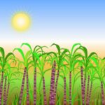 Astrology: Celebrating Mesha Sankranti in 2026