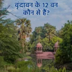 "Discover the 12 Mystical Forests of Vrindavan and Their Benefits" 2 "Discover the 12 Mystical Forests of Vrindavan and Their Benefits"