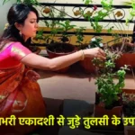 Rangbhari Ekadashi Upay 2026: रंगभरी एकादशी पर तुलसी के इन सरल उपायों से चमकेगी किस्मत, मिलेगा मां लक्ष्मी का आशीर्वाद 11 Rangbhari Ekadashi Upay 2026: