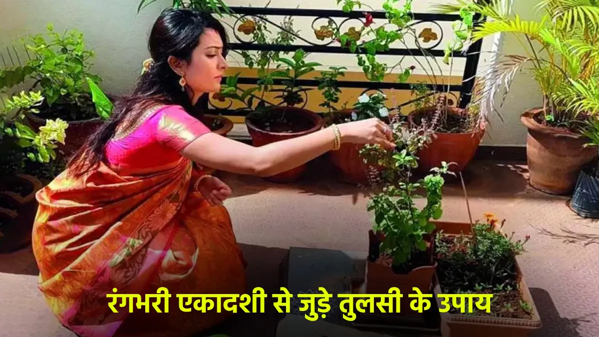 Rangbhari Ekadashi Upay 2026: