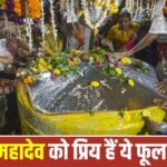 Sawan: सावन के पहले सोमवार पर शिवजी को चढ़ाएं ये फूल, पूरी होगी हर मनोकामना 2 Sawan: सावन के पहले सोमवार पर शिवजी को चढ़ाएं ये फूल, पूरी होगी हर मनोकामना